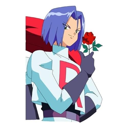 Pokemon Team Rocket James Cosplay Wig Free Shipping for Halloween and Christmas
