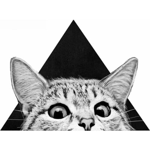 Funny Car Sticker Decoration Waterproof Decal Laptop Suitcase Truck Motorcycle Auto Accessories PVC,13cm*9cm