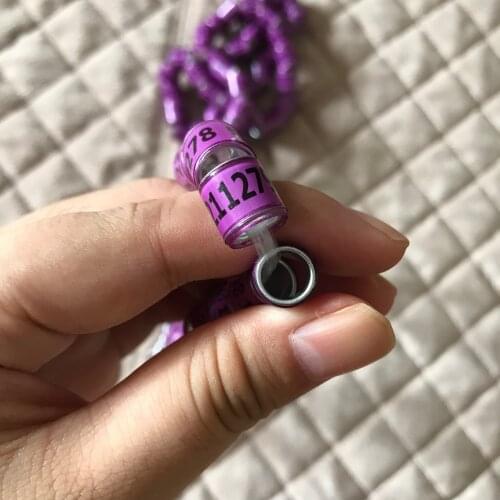 2020 purple BELG pigeon ring birds rings