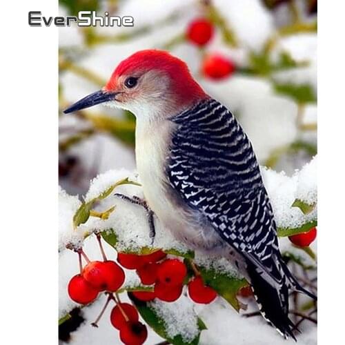 Animal Bird DIY Cross Stitch 11CT Embroidery Kits Craft Needlework Set Printed Canvas Cotton Thread Home Decoration New Design