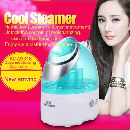 Household Multifunctional Cold Spray Ion Nano Face Cleansing Spray Whitening Replenish Desalinate Anti-Allergy Steaming machine