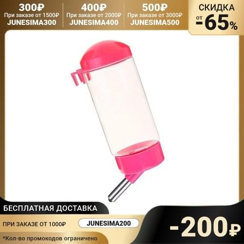 Первый питомец DIIL China At AliExpress