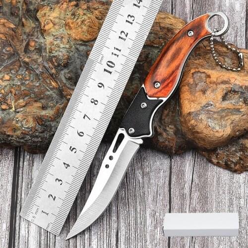 16.5CM Outdoor Mini Folding Knife Stainless Steel Pocket Knife Outdoor Portable Self-sanitary Storage Tactical Outdoor Knifes