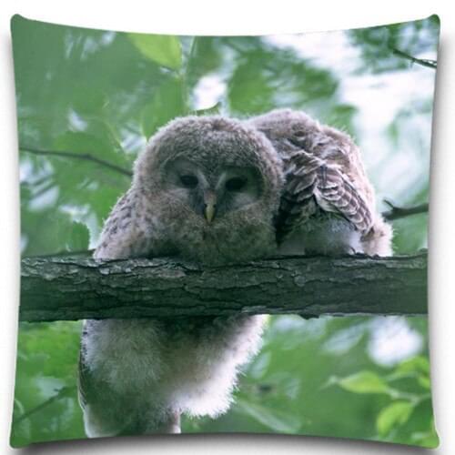 Looking down on a lovely Owl 2D print creative Pillow case Square cotton polyester cushion cover 5 size 9 style