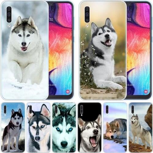 Soft Case Alaskan Malamute Siberian husky dog for Samsung Galaxy A50 A70 A80 A40 A30 A20 A10 A20E A2 CORE A9 A8 A7 A6 Plus 2018
