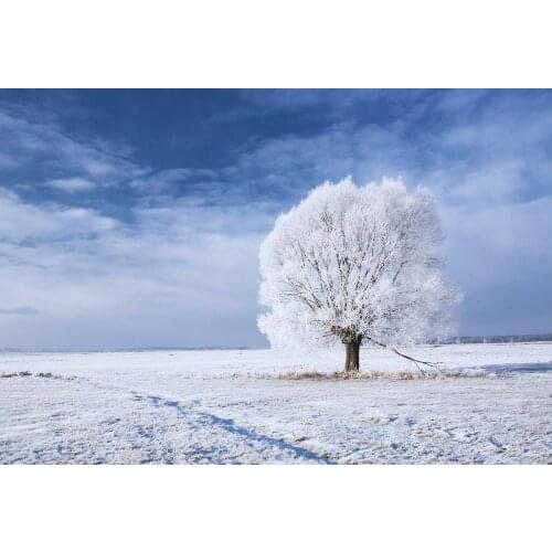 VinylBDS Backdrops For Photography Under A Tree In The Snow Blue Sky Foto Background Empty Snow Scenic Background