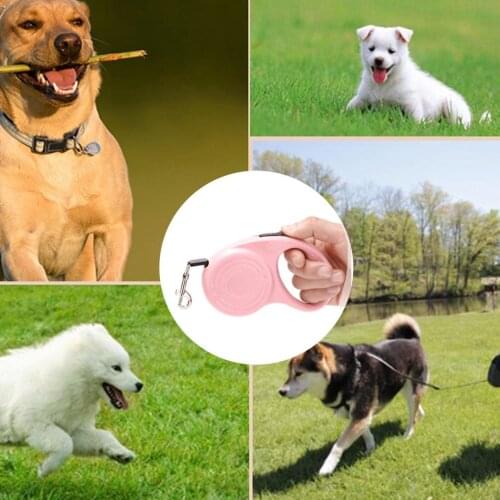 3M Dog Leash Automatic Retractable Traction Rope Adjustable Extending Leash Belt For Dog Cat Outdoor Walking Pet Accessories