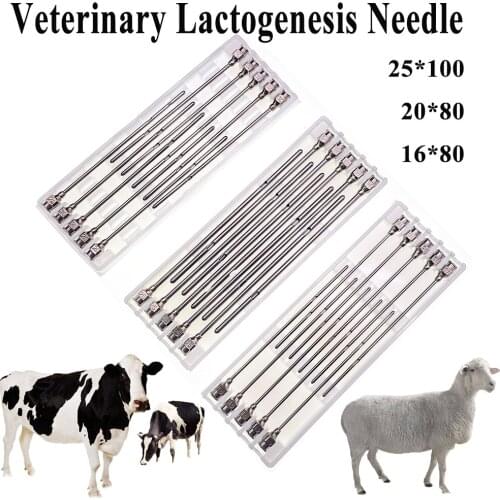 10PCS Goat Ewe Cow Veterinary Lactogenesis Needle Pin Metal Breast Dredging Drenching Round Rod Ranch Medical Clinic Supplies