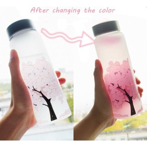 1000 ML Cherry Gradient Color Glass Water Bottle With Protective Bag For Kids Girl Student Cute Fashion Sport Drink Bottles
