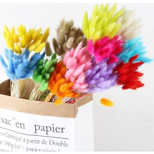 20pcs/lot Natural Dried Flowers Artificial Rabbit Tail Grass Fake Bouquet Long Bunches Colorful Lagurus Ovatus Real Flower Decor