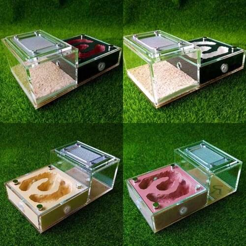 Yellow Ant Nest Acrylic Ant Villa Workshop Insect Breeding Container Ants Farm House
