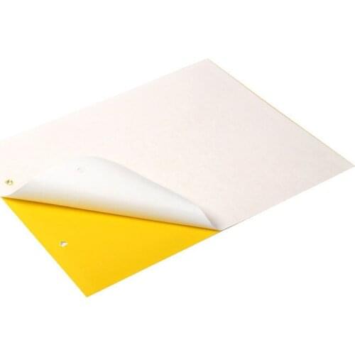 10Pcs Strong Flies Traps Bugs Sticky Board Catching Aphid Insects Pest Killer Outdoor Fly Trap for Aphids Fungus Gnats Leaf