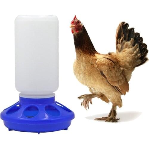 1L Chicken Feeder Bucket Poultry Practical Bird Feeding Fountain Plastic Seed Water Dispenser