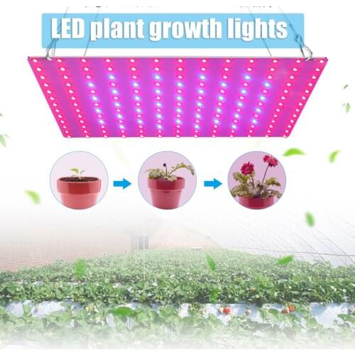 Indoor Plant Growth LED Light Promote Photosynthesisfor Germination Seedling Plant Growth and Flowering. JDH88