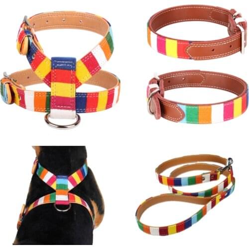 Pet Dog Collar Harness Designer Collar Leather Plain Collar for Big Small Dog Canvas Colorful Rainbow Dog Collar Halter Leash