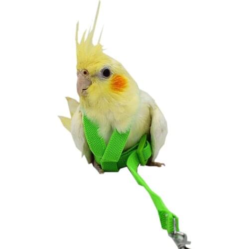 Anti-bite Flying Training Rope Parrot Bird Pet Leash Kits Ultralight Harness Leash Soft Portable Pet