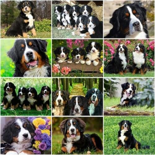 DIY 5D Diamond Painting Bernese Mountain Dog Cross Stitch Patterns Animal Mosaic Embroidery Puppy Kit Full Round Rhinestone Gift