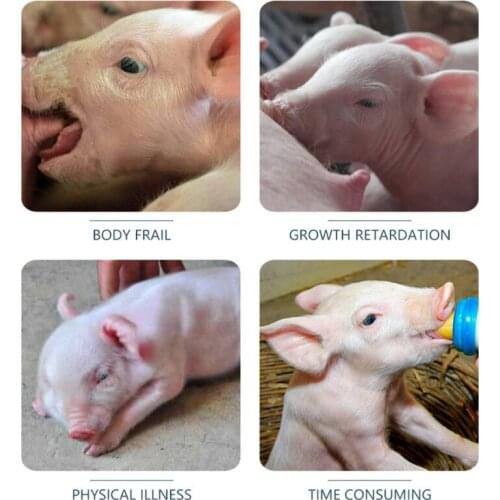 Lamb Milk Feeder Bottle Large Capacity Milk Bucket with Nipples Calf Goat Milk Feeder Bottle for Farm Lambs Piglets Dogs