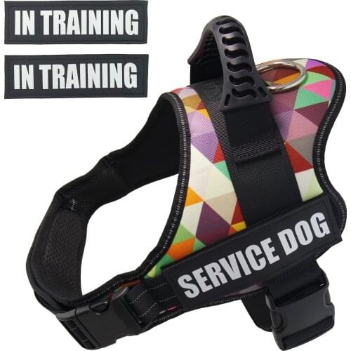Service Dog Harness, Heavy Duty Dog In Training Vest Padded for Outdoor Walking Hiking Small Medium Large Dog, Working Dog