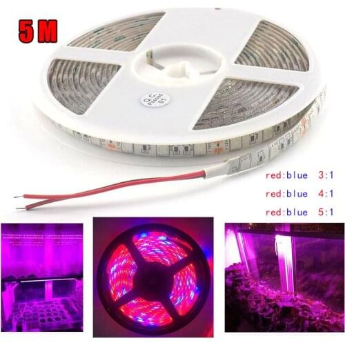 5M LED Plant Grow strip Lights growing phyto lamp DC 12V 5050 chips for veg flower Hydro Greenhouse indoor growbox tent