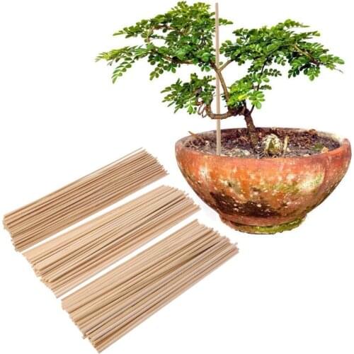 50 Wooden Plant Grow Support Bamboo Plant Sticks Garden Canes Plants Flower Support Stick Cane