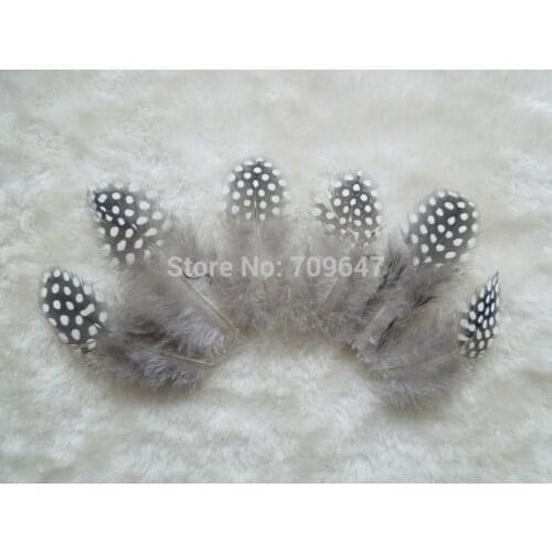 1000pcs/lot! 5-7cm Small Guinea Fowl Feathers Real Feathers Spotted Loose Natural Feathers For Crafts With White Polka Dots