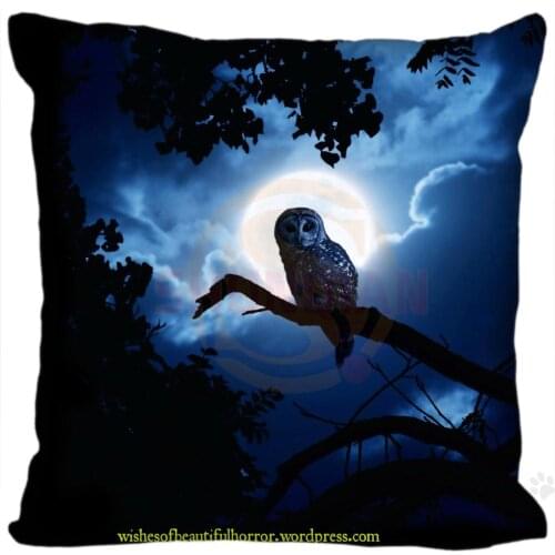 H+P#175 New Hot Custom Pillowcase owl #4 soft 35x35 cm (One sides) Pillow Cover Zippered SQ01003@H0175