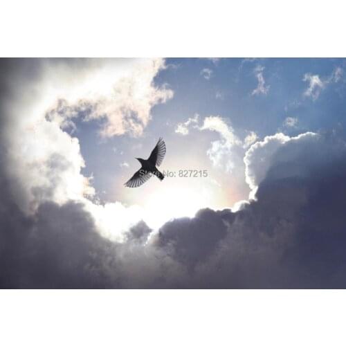 SKB-001 eagle flying in the sun pvc stretch film famous sky ceiling material for home decoration