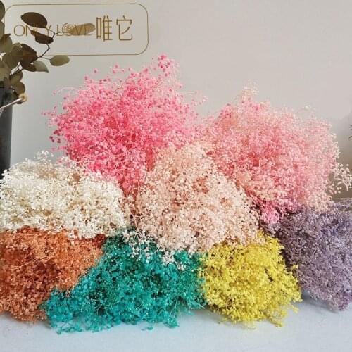 2bundle/220g immortal flower sky star dried flower Nordic flower bouquet gift home decoration accessories living room decoration