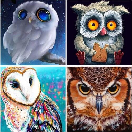 5D DIY Diamond Painting Full Square Owl Cross Stitch Kits Diamond Embroidery Animal Diamond Mosaic Picture of Rhinestones Decor