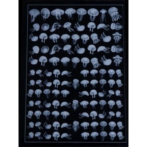 Jellyfish Transparent Material Epoxy Mold Making Jewelry Filling For DIY Craft