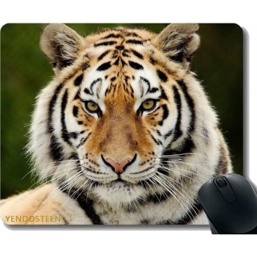 Mouse Pad With Locking Edge,Tiger Predator Big Cat Face Eyes Surprise 56800 Mouse Pads