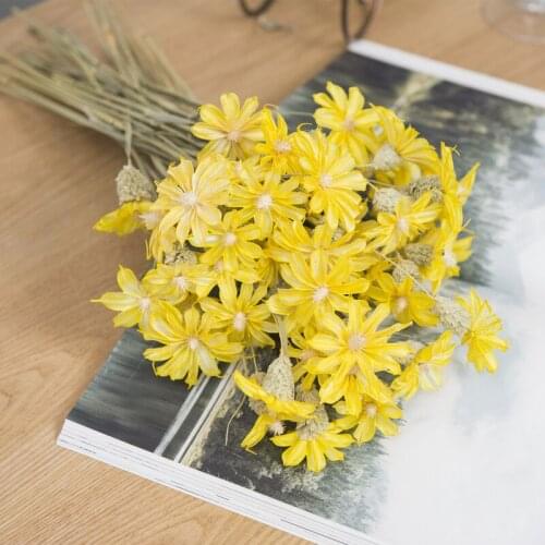 5/10pcs Dried Flower Daisy Orchid Naturel Dry Plants Bouquet Home Decoration Accessories Photographic Props Wedding Christmas