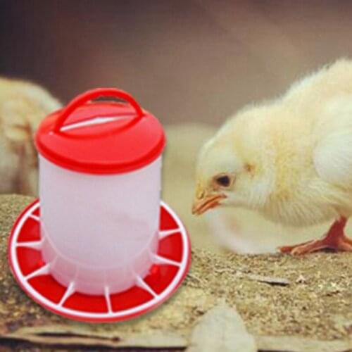 Automatic Feeder Fowl Chicken Poultry Farming Breeding Water Food Feed Dispenser Pet Supply