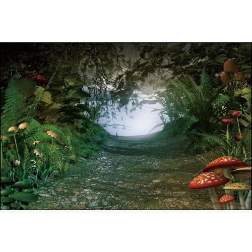 Summer Tropical Forest Jungle Dreamy Mushroom Road Nature Scenery Baby Portrait Backdrop Photography Background For Photo Studio