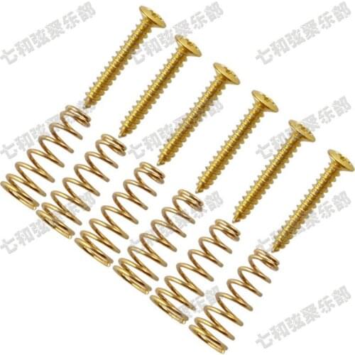 30Pcs Gold Guitar Humbucker Single Coil Pickups mount Height Screws springs guitar accessories