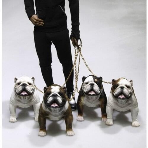 Mr.Z Real Animal 1/6 BULLDOG Z003-Z006 British Bulldog Resin Statue for 12"DAM HT Collectible Action Figure Scene Accessories