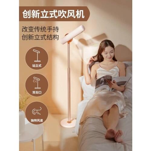 Household vertical hair dryer liberating hands, negative ion hair care, high-power quick-drying hair dryer