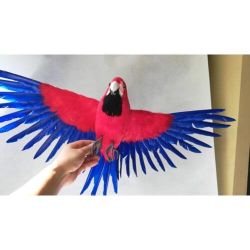 Real life Bird red-blue feathers parrot model large 45x60cm spreading wings parrot garden decoration prop toy gift h1218
