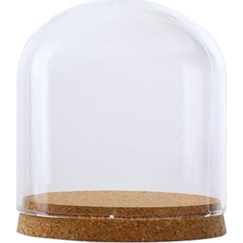 Decorative Clear Glass Dome Cloche Bell Succulent Terrariums Air Plant Covers With Wood Base