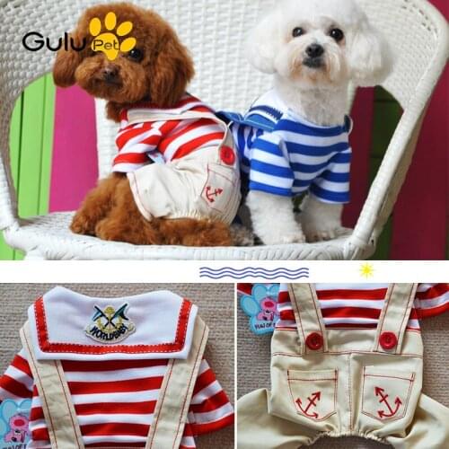 Boratat Clothes And Footwear For Dogs