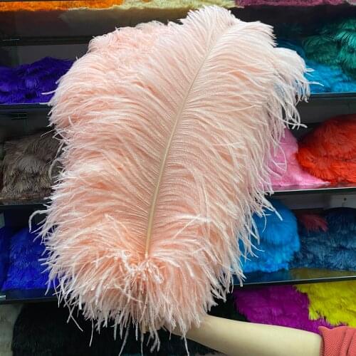 Sale 50pcs/lot Beautiful Champagne Ostrich Feather Celebration Accessories Christmas Dancers Craft Plume Feathers for Crafts