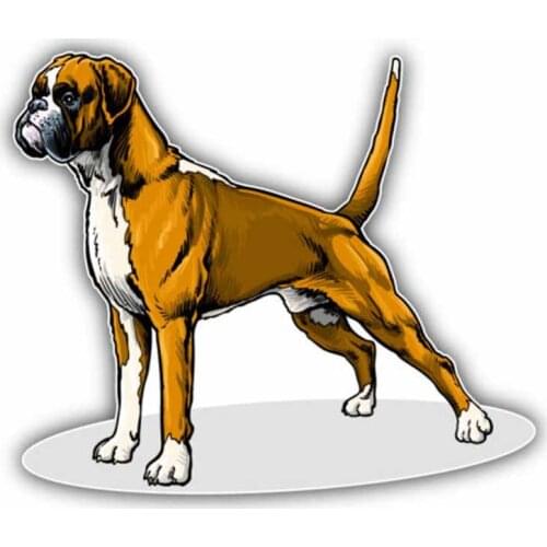 Cute Boxer Dog Car Sticker exterior decoration auto motorcycle accessories off road personalized Multi Size polyethylene Decal