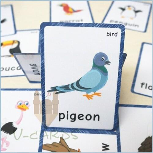 13pcs Memory Game Birds Word Cards Flash Cards For Children English Teacher Teaching Aids Montessori Learning Educational Toys