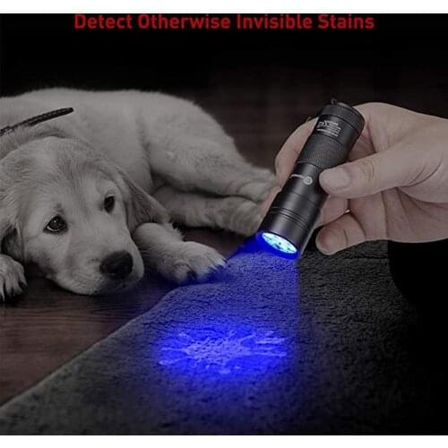 HiMISS Portable Lamps