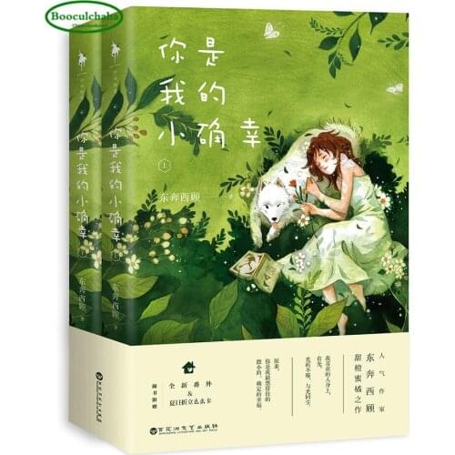 Chinese Sweet love novels- you are my lucky by dongbenxigu