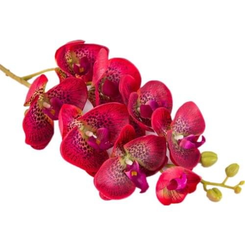 10pcs Artificial Phalaenopsis Orchid Flowers Leopard Printing Real touch Latex High Quality Butterfly Orchids Stem Plant Flowers
