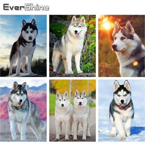 Evershine Diamond Painting Dogs Full Square Rhinestones Picture Embroidery Animals Cross Stitch Kit Needlework Home Decoration