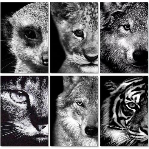 SDOYUNO 60x75cm Paint By Numbers Black And White Animals DIY Oil Painting By Numbers On Canvas Frameless Number Painting Decor