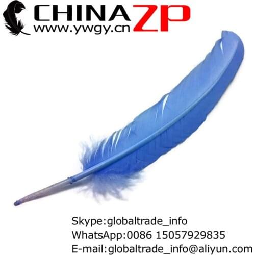 Wholesale and Retail from CHINAZP Factory 50pcs/lot 30~35cm(12~14inch) Length Dyed Sky Blue Turkey Rounds Quill Wing Feathers